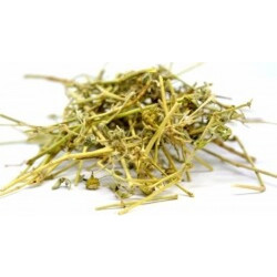 Τριβόλι Βότανο 40γρ Pure Natural