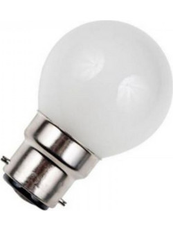 PHILIPS ΛΑΜΠΑ ΕΙΔΙΚΟΥ ΤΥΠΟΥ 60W B22 (2 τεμάχια)