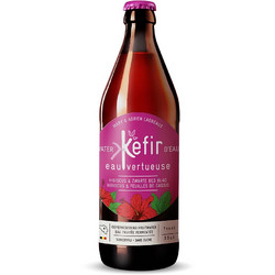 WATER KEFIR ΙΒΙΣΚΟΣ & ΦΡΑΓΚΟΣΤΑΦΥΛΟ BIO 330ML BIOGEL