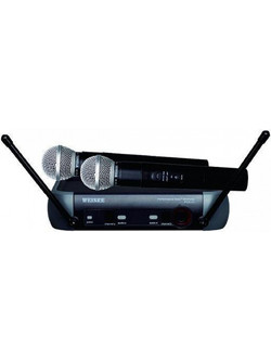 Weisre PGX-51 Ενισχυτής με Λειτουργία Καραόκε