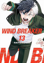 Wind Breaker