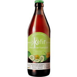 Water Kefir Cucumber (Αγγούρι) 330ml