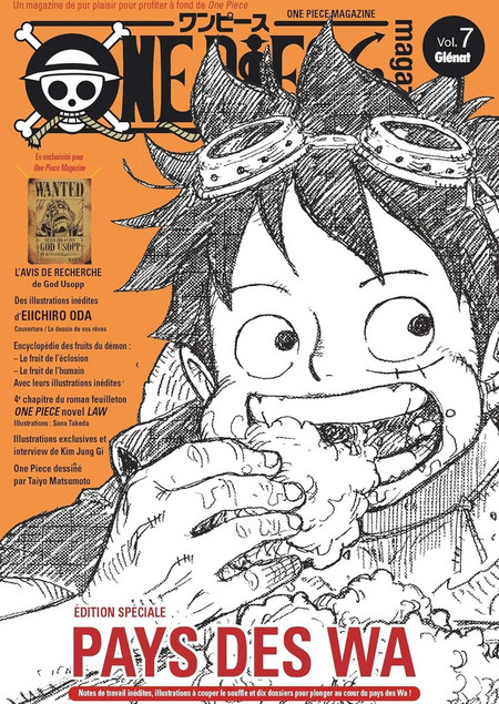 One Piece Magazine - Tome 07 - French Edition