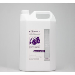 Kyana Blackcurrant Conditioner 5lt