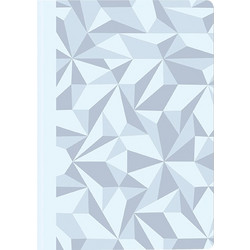CARAN D ACHE ΣΗΜΕΙΩΜΑΤΑΡΙΟ ΡΙΓΕ A5 90g/m ALPINE FROST