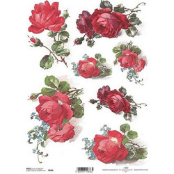 Ριζόχαρτο red roses 21x29εκ. (ITD-R646)