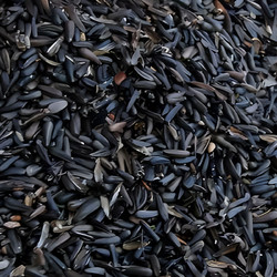 Royal Vogelfutter Niger Seed 5kg