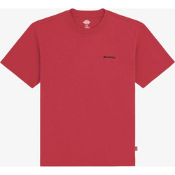 Dickies T-shirt Loretto DK0A89ENL331/Garnet