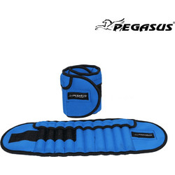 Βάρη Άκρων Ρυθμιζόμενα Pegasus(R) (2x 2.5kg) Β-1501