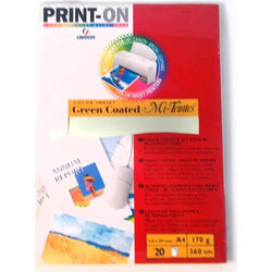 CANSON COATED MI-TEINTES GREEN 170gr 20 ΦΥΛΛΩΝ ΑΝΑΓΛΥΦΟ