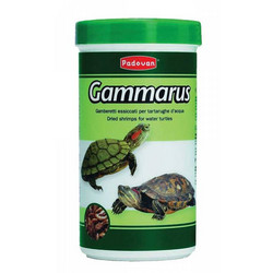 Padovan Gammarus 100ml