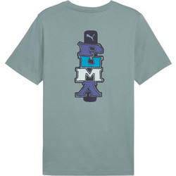 Puma Graphics Ανδρικό Αθλητικό T-Shirt Βεραμάν 684832-30