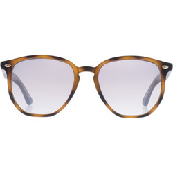 Enzo 6803 C2 Γυναικεία Γυαλιά Ηλίου Oversized Κοκάλινα Ταρταρούγα με Μωβ Φακό