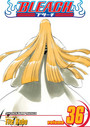 Bleach, Vol. 36 Bleach, Vol. 36