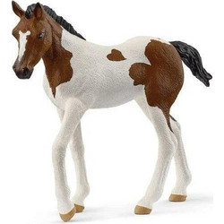 Schleich Πουλάρι 14899