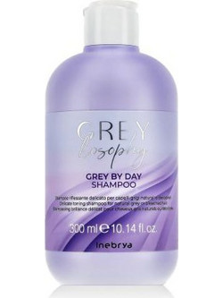 Inebrya Grey By Day Σαμπουάν για Προστασία Χρώματος για Βαμμένα Μαλλιά 300ml