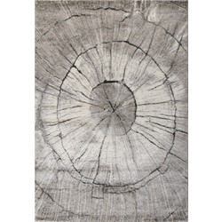 Tzikas Carpets Dorado Χαλί Ορθογώνιο 160x230cm 71717-295 Γκρι