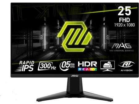 MSI MAG 255XF IPS HDR Gaming Monitor 24.5" 1920x1080 FHD 300Hz 0.5ms