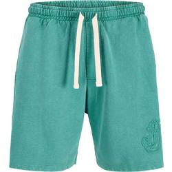 Jack & Jones Αθλητικό Ανδρικό Σορτς Τιρκουάζ 12296528