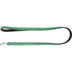 Gloria Pets Λουρί Σκύλου 1m x 18mm Πράσινο