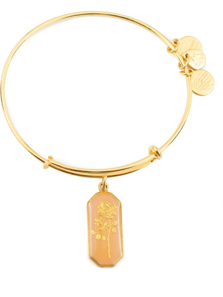 Alex and Ani Γυναικείο Βραχιόλι Βέργα Xρυσό A14EB94YG