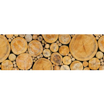 Ursus Δίσκοι Δέντρων Χαρτόνι Κολάζ Καφέ 50x68cm 187127261
