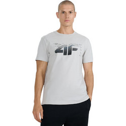 4F Ανδρικό Αθλητικό T-Shirt Γκρι 4FWAW25TTSHM2359-27S