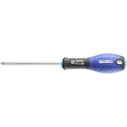 EXPERT BY FACOM KATΣABIΔI ΠOZI PZ1X100MM (E165335)
