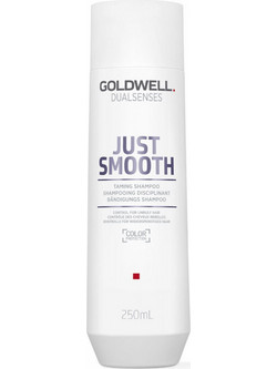 Goldwell Dualsenses Just Smooth Σαμπουάν για Φριζάρισμα για Ταλαιπωρημένα Μαλλιά 250ml