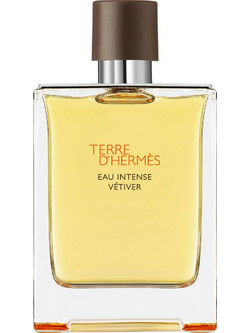 Hermes Terre d'Hermes Eau Intense Vetiver Eau de Parfum 200ml