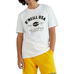 O neill State Ανδρικό T-shirt 2850040-11010 Λευκό