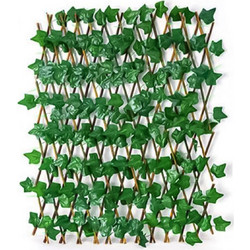Συνθετική Φυλλωσιά σε Καφασωτό Κισσός 70x70cm SDS-19519 - OEM