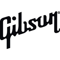 Gibson Phosphor Bronze Χορδή Ακουστικής Κιθάρας 41