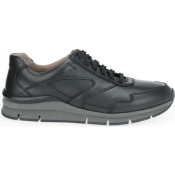 Gabor Ανδρικά Sneakers Μαύρα 10.401.101
