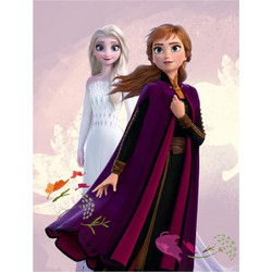 Disney Frozen Elsa & Anna Κουβέρτα Κούνιας Fleece 100x140 Μωβ