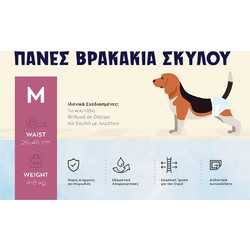 Πάνες-Βρακάκια για Σκύλους M 20τεμ. 26-46CM
