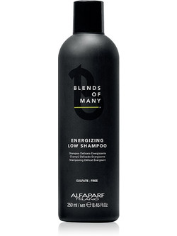 Alfaparf Blends of Many Energizing Σαμπουάν κατά της Τριχόπτωσης 250ml