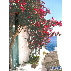 ΝΤΟΣΙΕ ΛΑΣΤΙΧΟ ΧΑΡΤΙΝΟΣ SKAG BLUE COLLECTION 25X35 248815