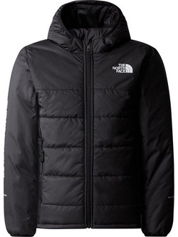North The Face Never Stop Synthetic NF0A8557JK3