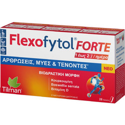 Tilman Flexofytol Forte 28 Ταμπλέτες