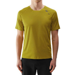 4F Ανδρικό Αθλητικό T-Shirt Lime 4FWSS24TFTSM792-71S