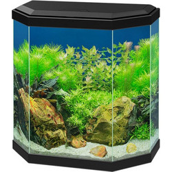 Ciano Aqua 30 Ενυδρείο Ψαριών με Φωτισμό & Φίλτρο 25lt Μαύρο