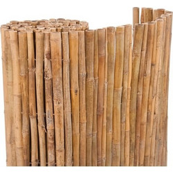 BAMBOO TONKIN 14-22mm ΜΕ ΕΣΩΤΕΡΙΚΟ ΣΥΡΜΑ ΓΑΛΒΑΝΙΖΕ 100(Υ) x 300cm