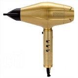 Babyliss Pro 4ARTISTS Επαγγελματικό Πιστολάκι Μαλλιών Ionic με Φυσούνα 2200W Gold