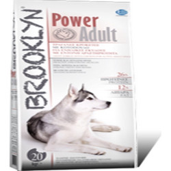 Brooklyn Power Dog Adult 20kg