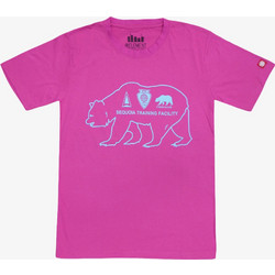 ELEMENT Men Sequoia T-Shirt - PINK - 1019-1001-1039-PINK