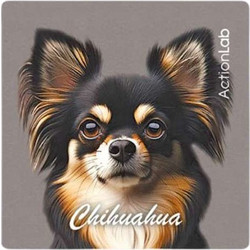 Action Lab Μαγνητάκι Magnet Chihuahua Black