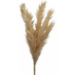 ART ET LUMIERE ΚΛΑΔΙ PAMPAS ΙΒΟΥΑΡ - SKU -10642