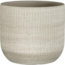 Supergreens Florian Κασπώ Γκρι 20cm 0780-8