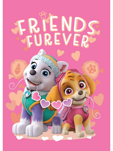 Paw Patrol Friends Furever fleece blanket 100x140cm